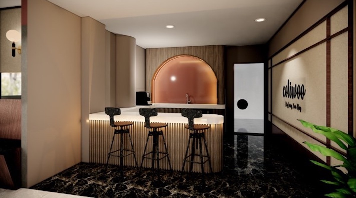 DBS initiates coverage on Coliwoo with 'buy' and 88 cents target price